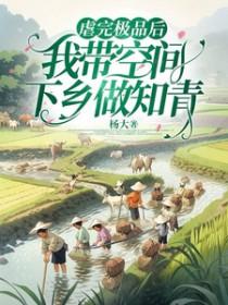 庸俗词语解释封面