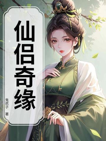仙侣奇缘封面