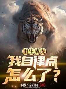 六年后她携子归来封面