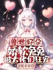 兽世好孕:娇软兔兔被大佬们狂宠封面
