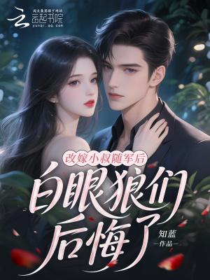三国：从平原开始，三兴炎汉封面