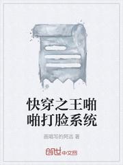 爱丽丝神域狂想曲封面