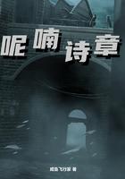 呢喃诗章封面