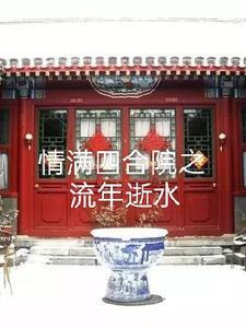 情满四合院没有系统怎么办封面