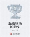 混迹球场的猎头封面