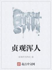 贞观浑人封面