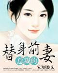 叶非墨温暖封面