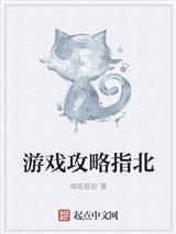 游戏攻略指北封面