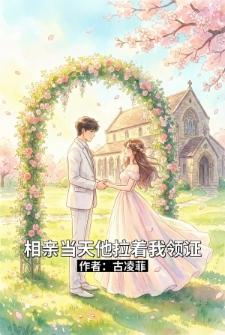 相亲当天战先生拉着我去领证封面