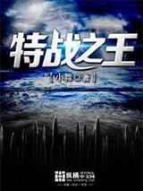 李天澜秦微白封面
