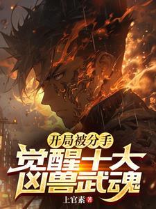 综影视之季f封面