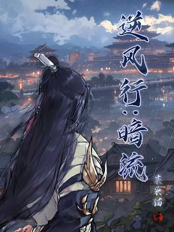 逆风行：暗流封面