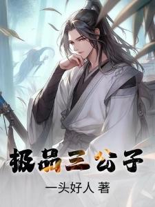 极品三公子封面