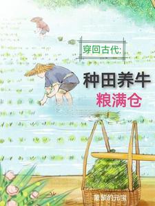 面板修仙最新章节封面