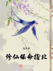 模拟的我成就至尊封面