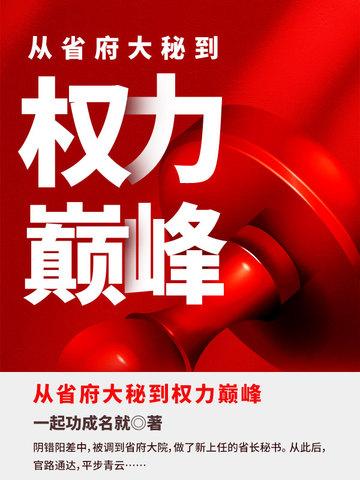 从省府大秘到权力巅峰全文免费封面