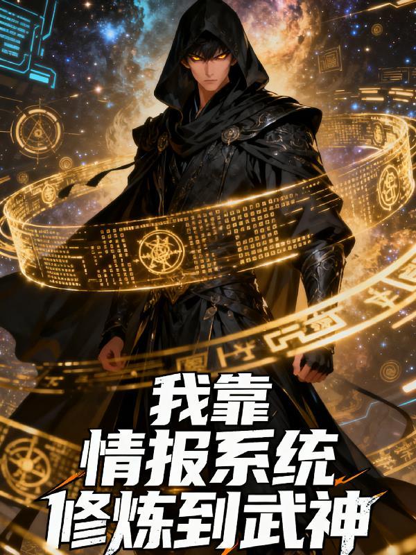 我靠情报系统上海滩封面
