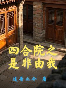 四合院从下乡归来封面