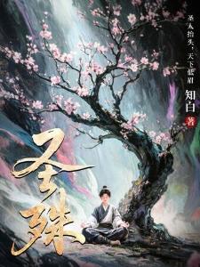 圣殊方许封面