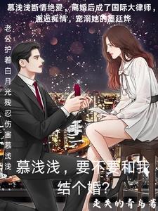 墨总,夫人又又又生了三胞胎封面