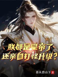 朕就是皇上吗封面