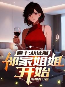 一个老千的血泪史封面