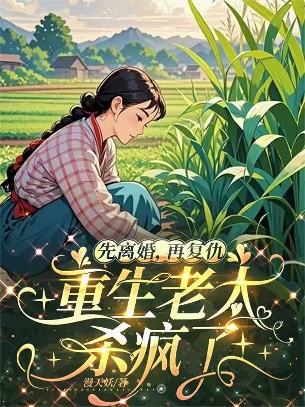 先离婚,再复仇,重生老太杀疯了封面