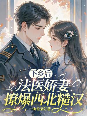 穿越时空的爱恋仙仙的衣服封面