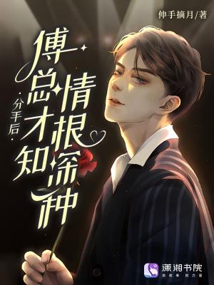 分手后，傅总才知情根深种封面