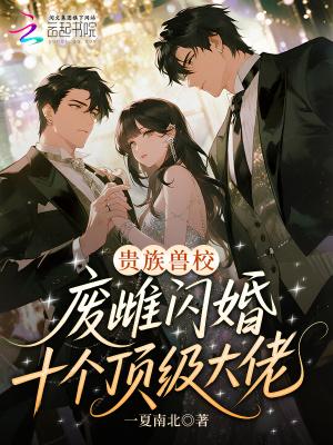 白夜浮生录txt封面
