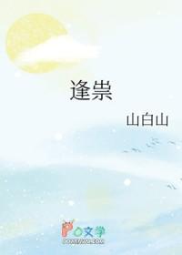逢祟封面