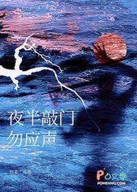 夜半敲门勿应声封面