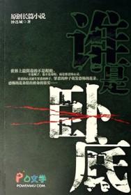 谁是卧底可以撒谎吗?封面