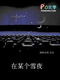 在某个雪夜封面