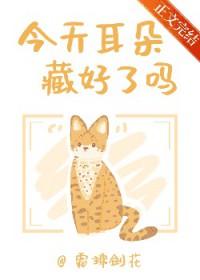 玄天道宗封面