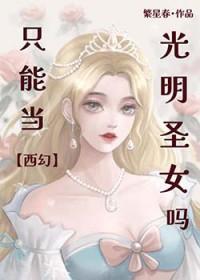 圣骑士决定封面