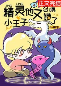 精灵小王子他又召唤错了封面