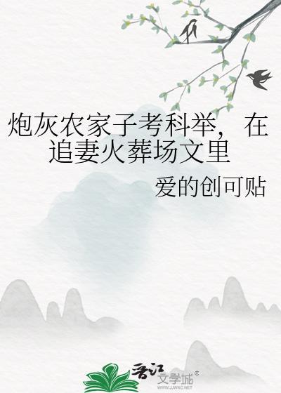 炮灰农家子考科举，在追妻火葬场文里封面