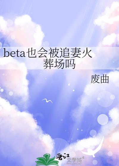 beta也会被追妻火葬场吗封面