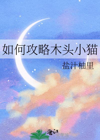 如何攻略木头小猫封面