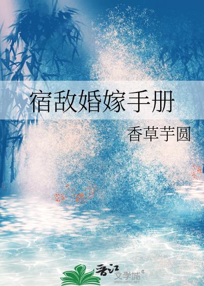 宿敌婚嫁手册番外txt封面