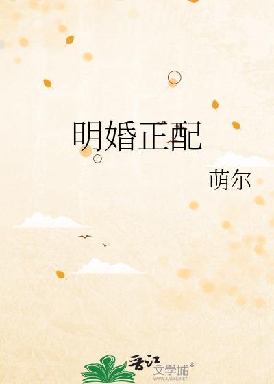 养了一只猫的英文封面