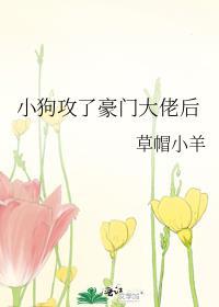 小狗攻了豪门大佬后封面