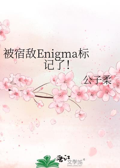 被宿敌Enigma标记了！封面