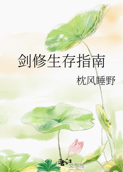 剑修生存指南封面