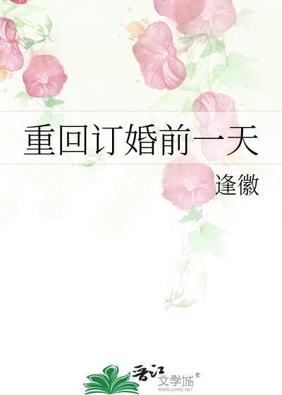 重回订婚前一天封面