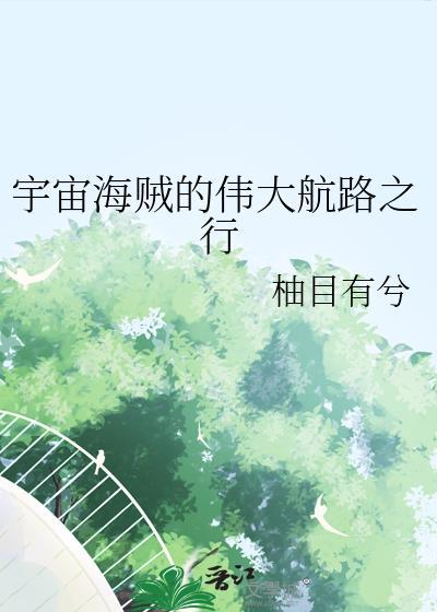 宇宙海贼 海贼王封面