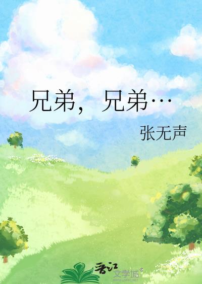 兄弟，兄弟…封面