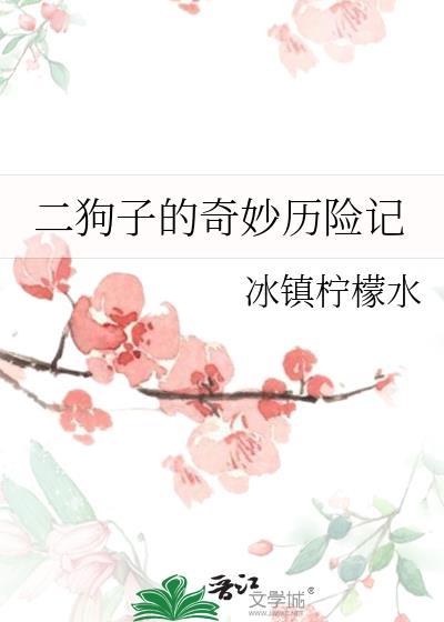 二狗子的奇妙历险记封面