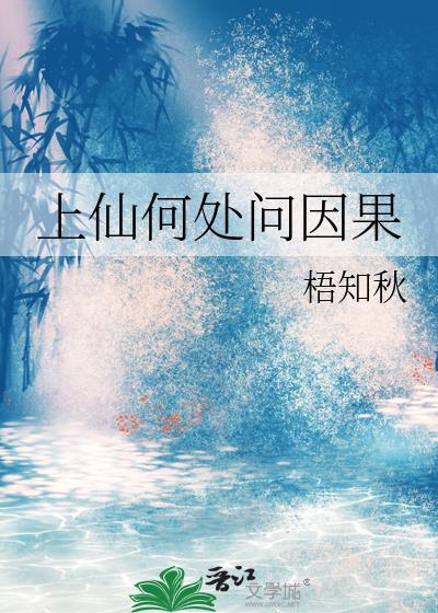 何为上仙封面